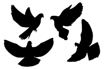 Wall Mural - Doves silhouettes, elements set white isolated. Basis graphics