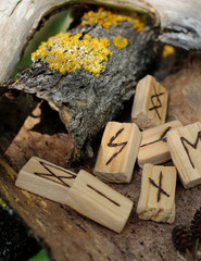 Wall Mural - Close-up on Soulu's wooden rune, which lie on a dry bark from a tree. Next to the other runes and yellow moss on the bark. Runic Futhark in the element