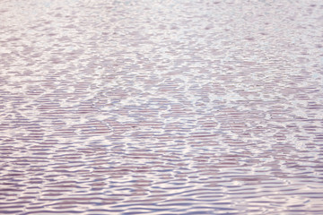 Wall Mural - Soft texture of water ripples on pond surface with pink colors of sunset.