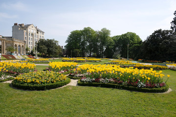 Poster - massifs de fleurs jaunes