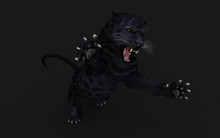 3d Illustration Black Panther Isolate On White Background With Clipping Path, Black Tiger