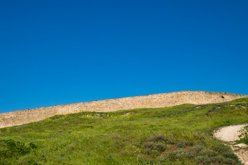 landscape with green field and blue sky