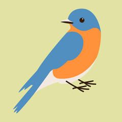 Wall Mural - bluebird vector illustration,flat style, profile