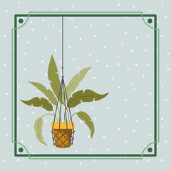 Wall Mural - frame with houseplant hanging in macrame