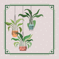 Wall Mural - frame with houseplants hanging in macrame