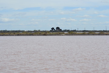 Saline di Aigues Mortes, Provence, France