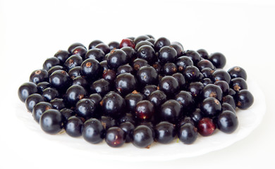 Wall Mural - Black currants. Ripe berries of black currant on white background