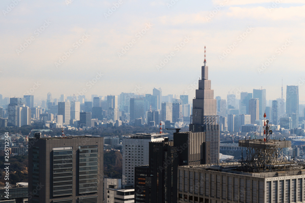 A view of Tokyo with a cell phone radio tower and various buildings - obrazy, fototapety, plakaty 