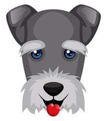 Poster - schnauzer illustration vector on white background