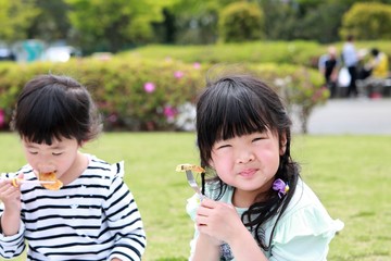 Poster - 公園でお弁当を食べる家族