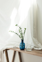 Living Room With Eucalyptus Plant And Blue Bottle Decorations At The Daylight