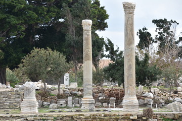 Wall Mural - Ancient Colonnade Ruins 2, Tyre Archaeological Site, Lebanon