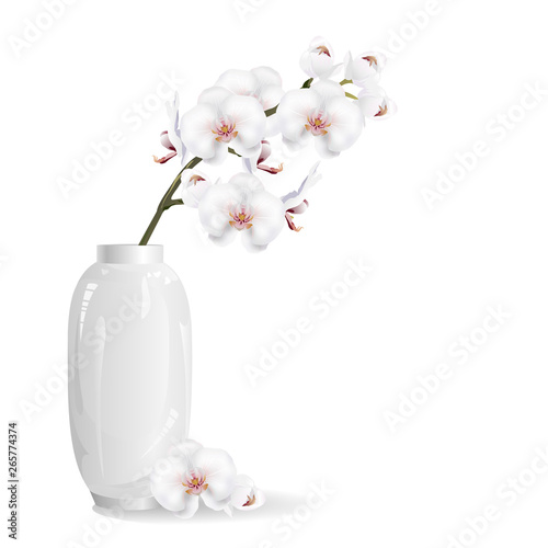 White Orchid Flowers In White Vase Realistic Vector Illustration
