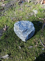 blue stone on moss