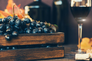 Wall Mural - Red wine with bottle, glass and grapes on wooden background. Wine header image. Wineglass. Display in a winery or tavern of red grapes in a wooden box. Concept of the grape harvest, wine making.