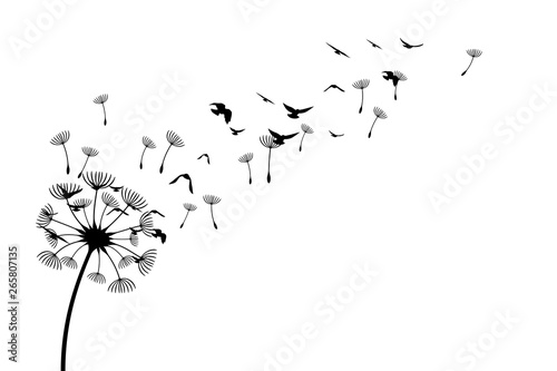Dandelion with flying birds and seeds Fototapeta
