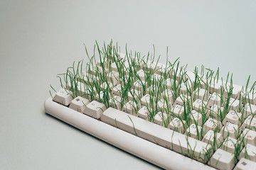Fototapete - Old keyboard overgrown with grass on a gray background. Green world concept.