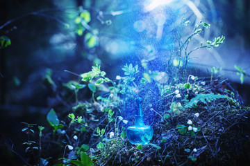 magic potion on bottle in forest