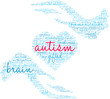 Autism Word Cloud on a white background. 