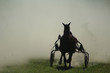 course de chevaux au trot attelé en france dans la poussière