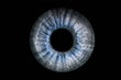 © galika - Human blue grey eye iris. Pupil in macro on black background