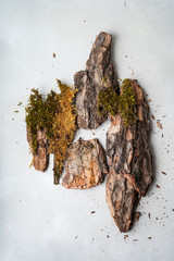 Wall Mural - Creative layout made of nature of bark tree, moss and earth with grass. Environmentally clear nature concept background with copy space. Top view. Flat lay.