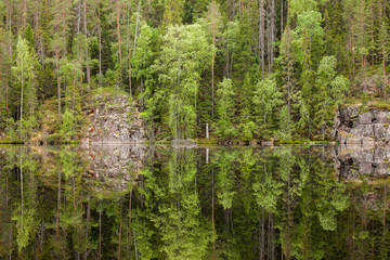  Landscape reflection from forest lake in Finland
