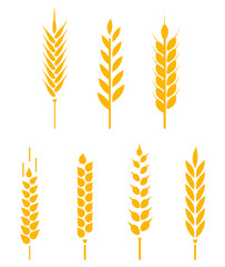 Wall Mural - Vector logo design and elements of wheat grain.