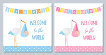 Baby Shower Invitation. Vector. Welcome Template Invite Card. Baby Boy Girl Banner. Blue, Pink Design. Birth Party Background. Set Happy Greeting Posters With Newborn Kid, Stork. Cartoon Illustration.