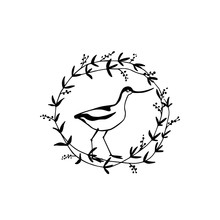 Hand Drawn Bird Emblem