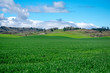 A view of farming fields layered over hills under a bright blue sky with fluffy white clouds