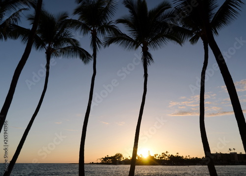 Obraz Dibond Calm warm colored sunset behind palms in Kailua Bay
