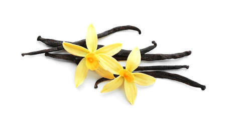 Aromatic vanilla sticks and flowers on white background