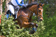 Horse jumping over obstacle. Equine eventing competition.