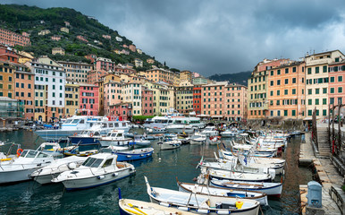 Wall Mural - Panoramic view of Camogli town in Liguria, Italy.