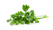 fresh parsley isolated on white background. full depth of field