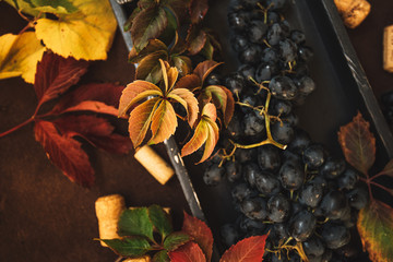 Wall Mural - Healthy food. Autumn fruits. On a black wooden background. Top view. Copy space. Toned image. Vintage style.