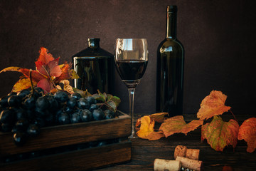 Wall Mural - Tasty grapes on vintage background. Ripe blue grape bunch with leaves. Grape harvest Italy. Wineglass and corks on dark background with copy space. Toned image. Selective focus.