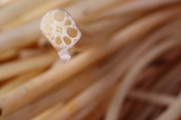 Wall Mural - Lotus stems at street food