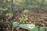 Fototapeta Dmuchawce - Plastic bottle in the forest