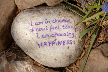 Stone with text; I am in charge of how I feel and today I am choosing happiness