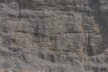 Wall Mural - Surface of the marble with grey tint, Stone texture and background.