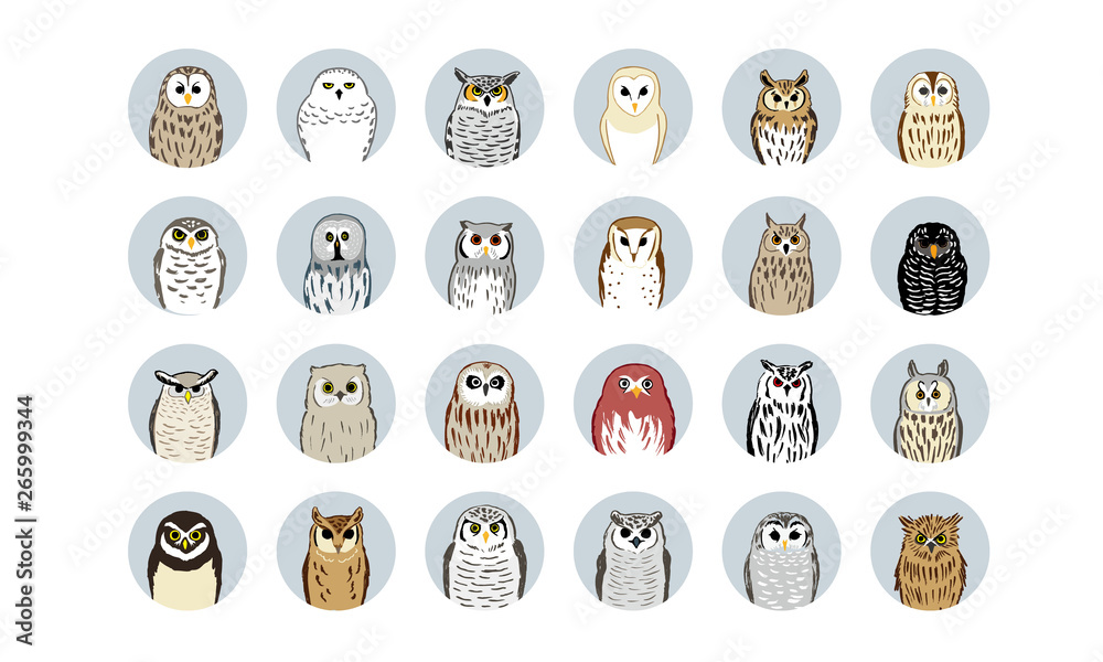フクロウの絵 24 フクロウイラスト_24 Owl icons の Stock ベクター | Adobe Stock