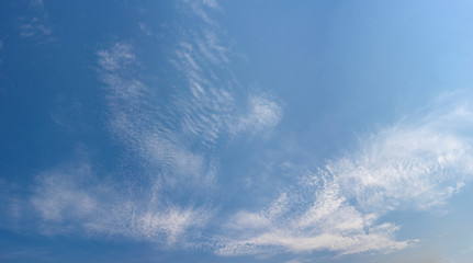 Wall Mural - panorama air clouds in the blue sky.fluffy clouds white in blue sky.