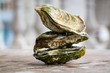 Raw oyster on wooden table with a close view