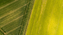 Colorful Patterns In Crop Fields At Farmland, Aerial View, Drone Photo
