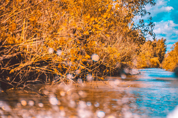 Water splashes from speed boat on Danube Delta channels beautiful colors 