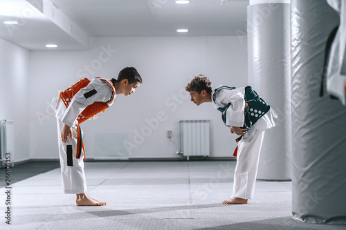 Leinwand Poster Two Caucasian boys in taekwondo fittings bowing at each other after combat