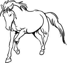 black and white vector horse