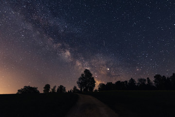 Wall Mural - milky way shining above a forest in switzerland